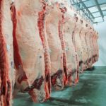 Carne de qualidade Frigorifico Coqueiro