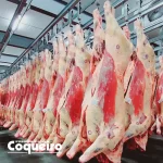 Frigorifico Coqueiro Carcaças bovinas